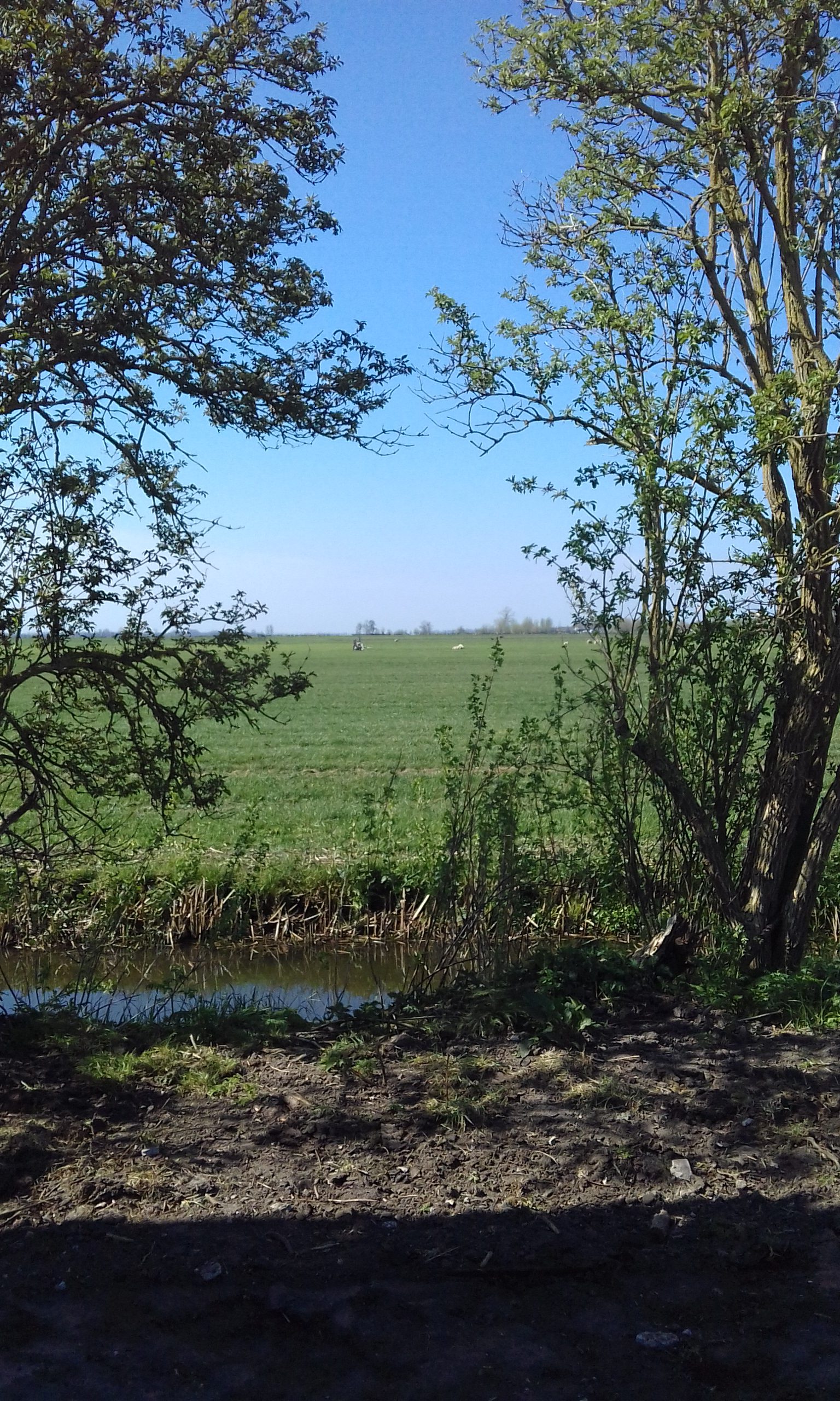 Uitzicht vanuit de camper